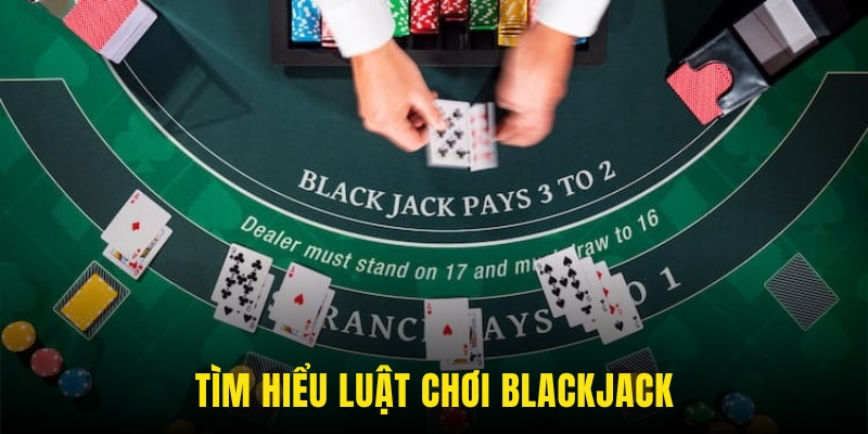 Vận dụng quy luật để tìm ra cách chơi blackjack hiệu quả