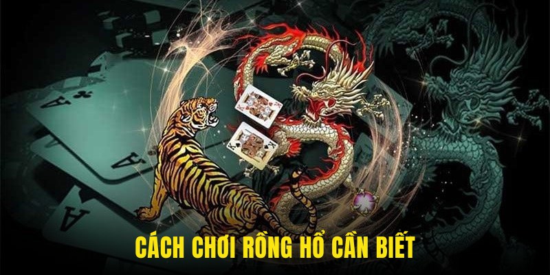 Cách chơi rồng hổ cần biết