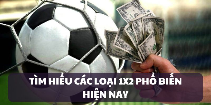 Các loại hình 1x2 phổ biến