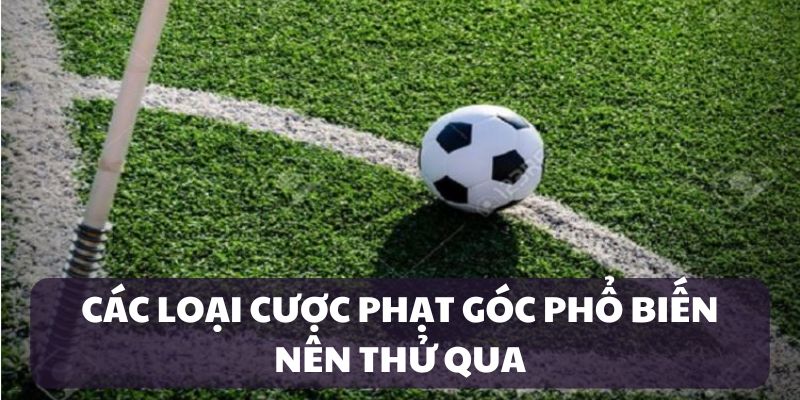 Các loại hình phổ biến